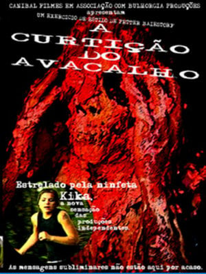 A Curtição do Avacalho : Poster