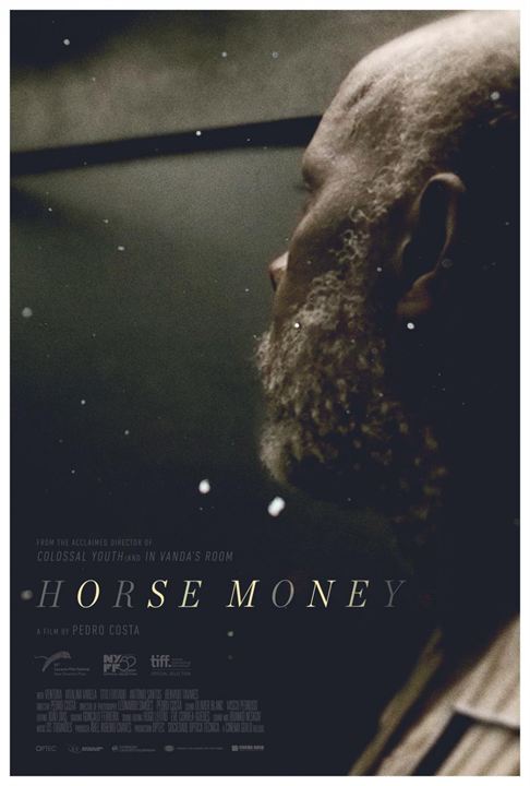 Cavalo Dinheiro : Poster