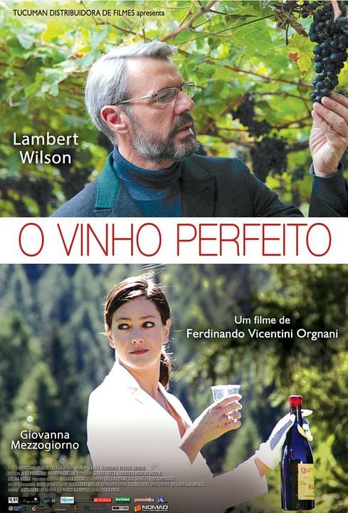 O Vinho Perfeito : Poster
