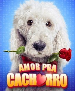 Amor Pra Cachorro : Poster