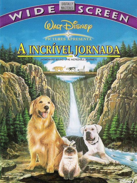 A Incrível Jornada : Poster