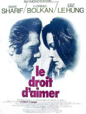 O Direito de Amar : Poster