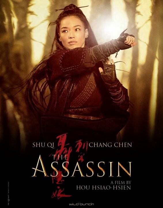 A Assassina : Poster