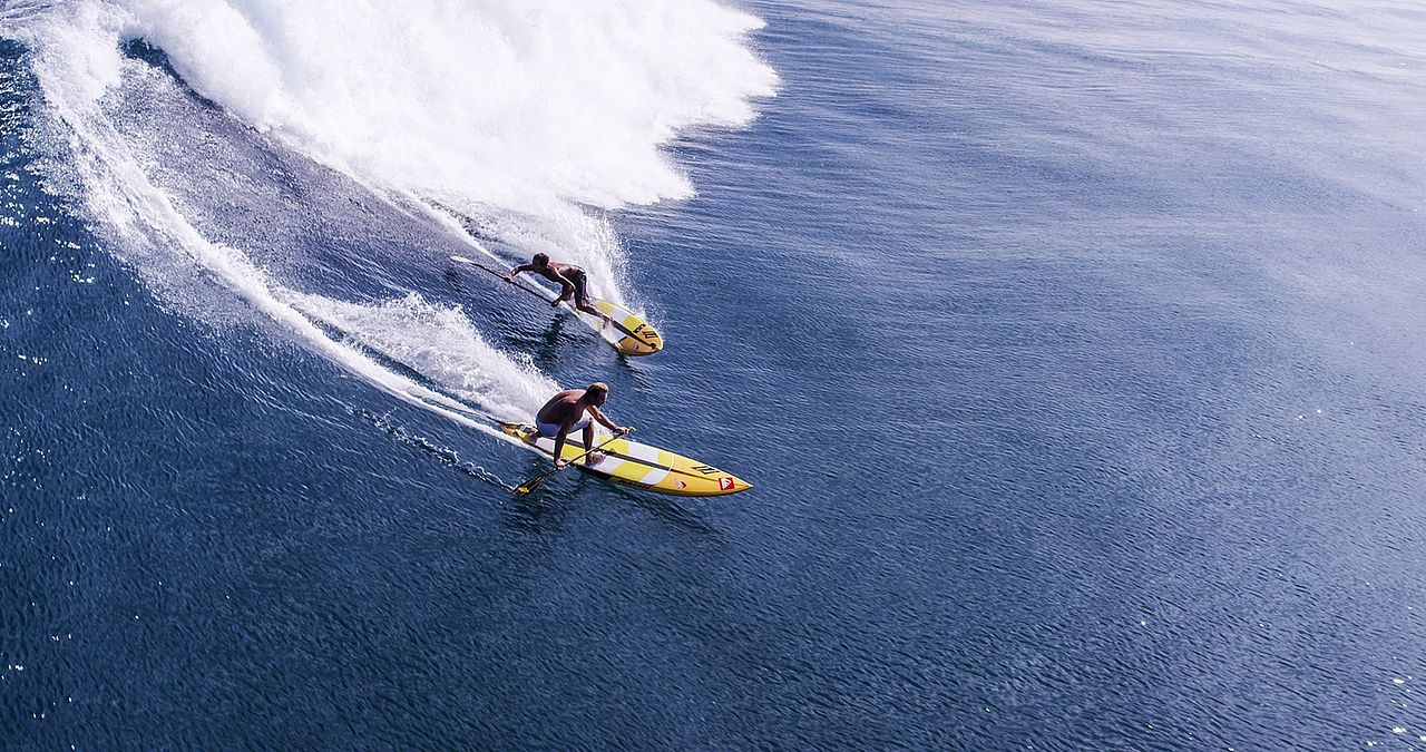 The Search for Freedom : Fotos