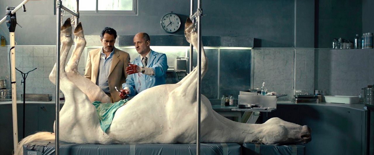 Morte em Buenos Aires : Fotos