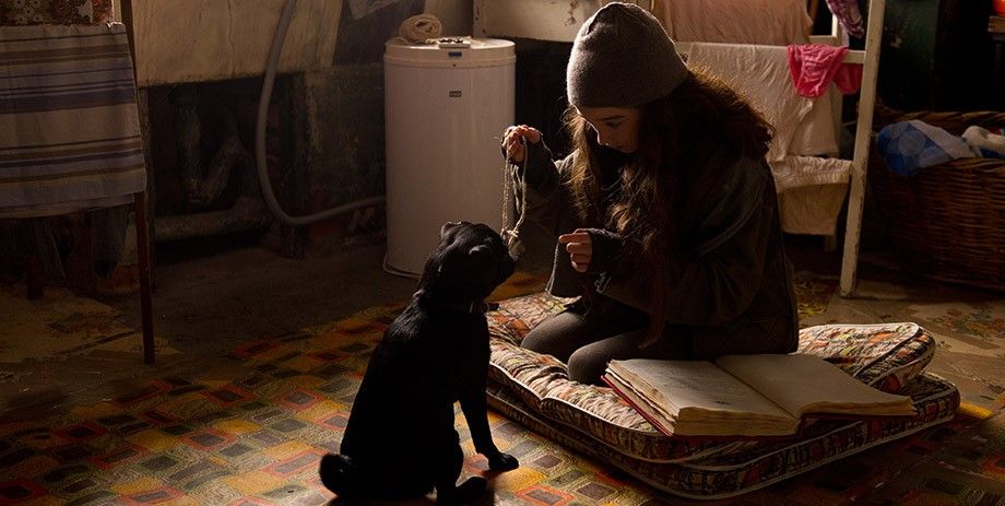 O Incrível Livro de Hipnotismo de Molly Moon : Fotos Raffey Cassidy
