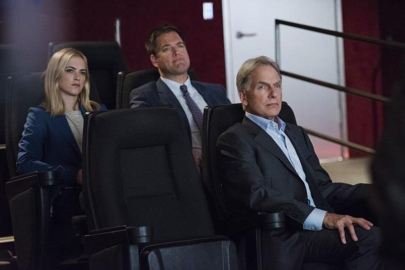 Fotos Mark Harmon, Emily Wickersham, Michael Weatherly