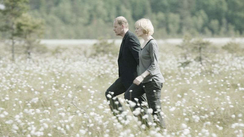 Paisagem Com Várias Luas﻿ : Fotos