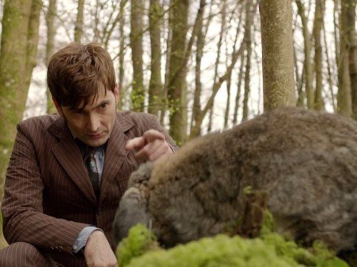 Doctor Who - O Dia do Doutor : Fotos