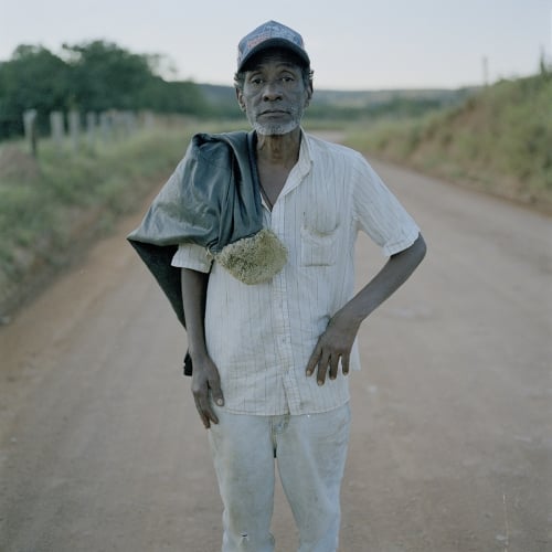 A Morte Diária : Fotos