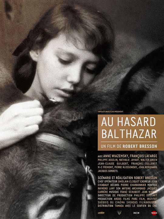 A Grande Testemunha : Poster