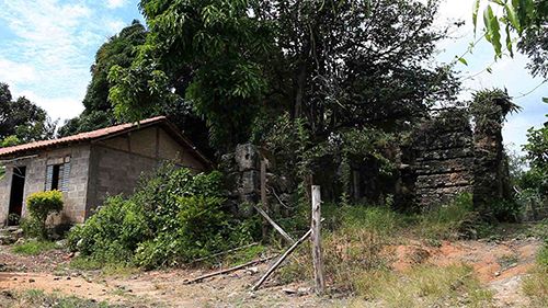 Remanescentes : Fotos