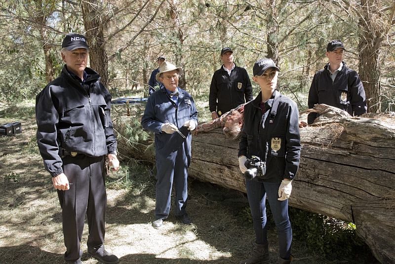 Fotos David McCallum, Sean Murray, Emily Wickersham, Michael Weatherly, Mark Harmon