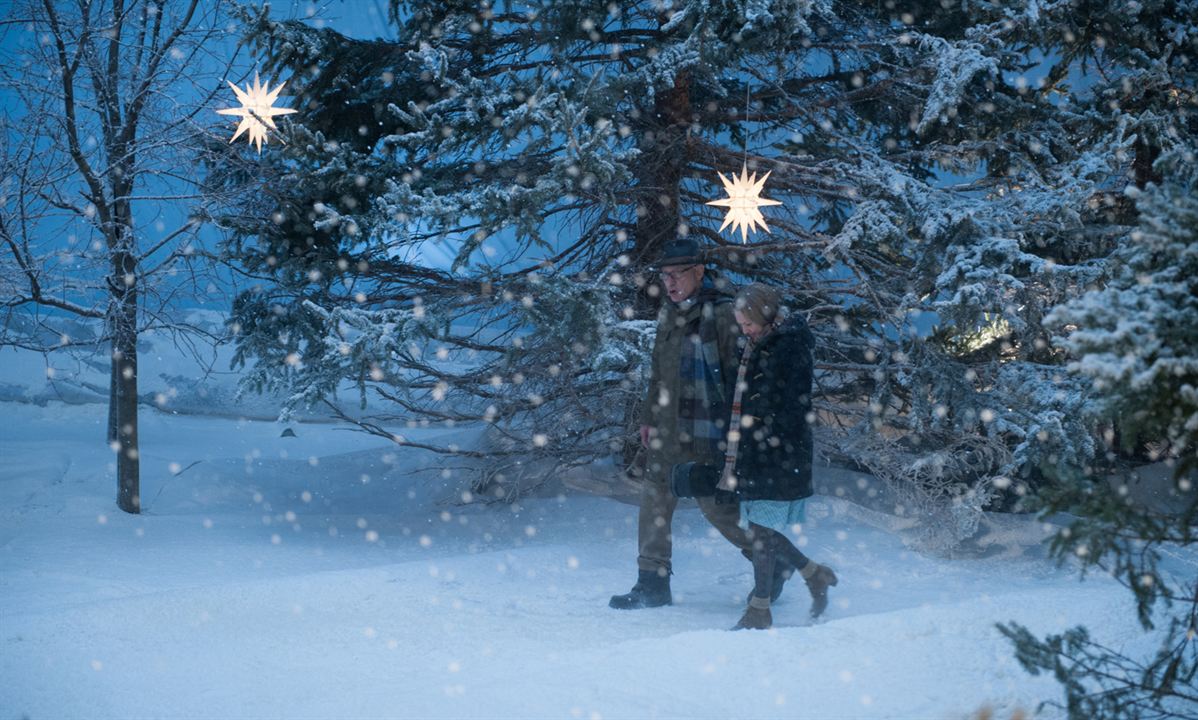 O Natal dos Coopers : Fotos Alan Arkin, Amanda Seyfried