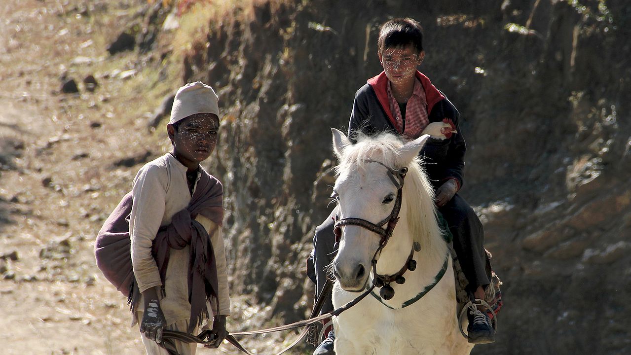 Nas Estradas do Nepal : Fotos