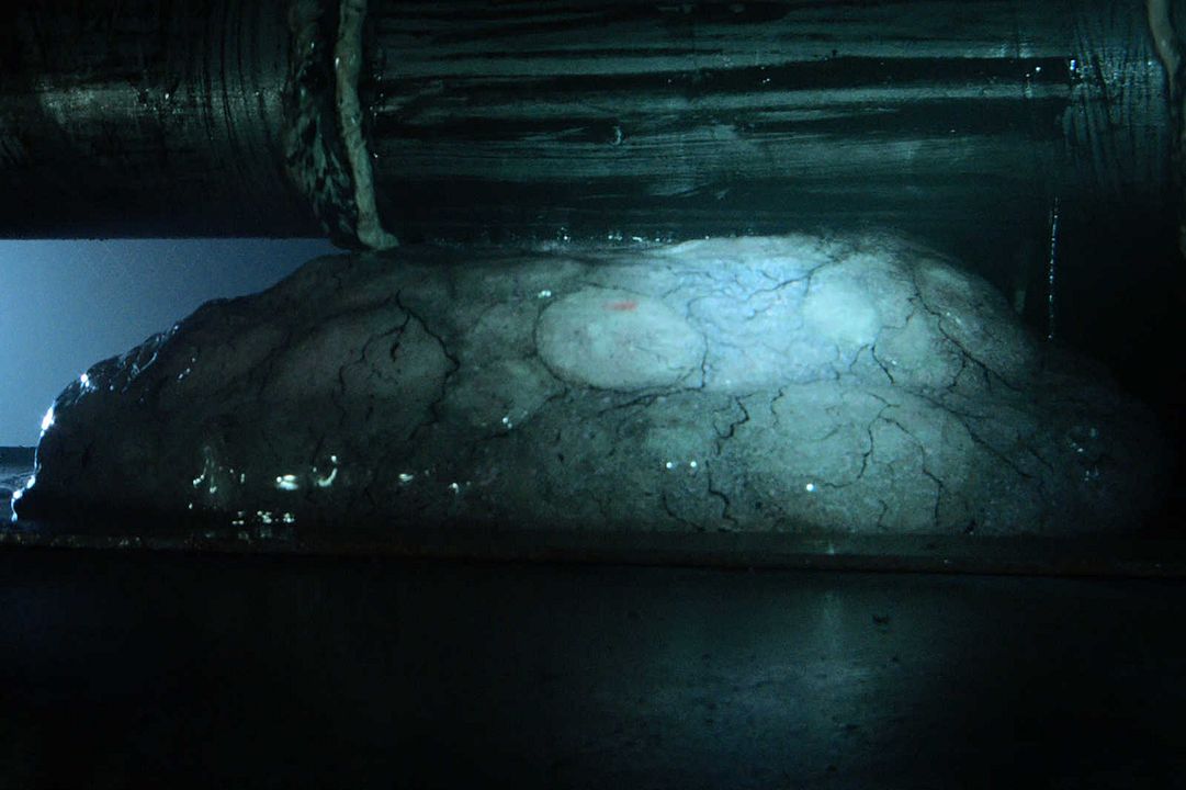 Harbinger Down - Terror no Gelo : Fotos