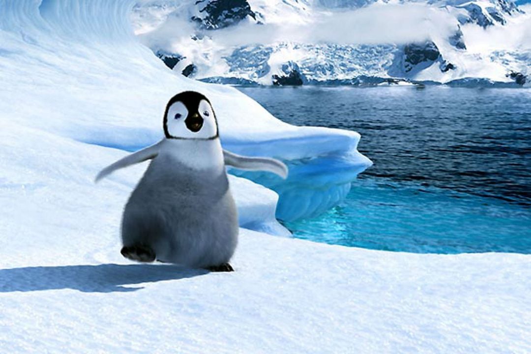 Happy Feet - O Pinguim : Fotos