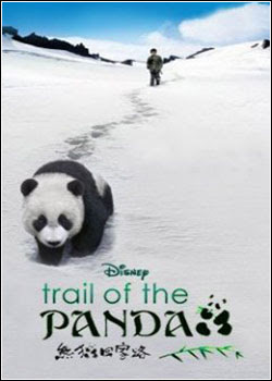 Na Trilha do Panda : Poster