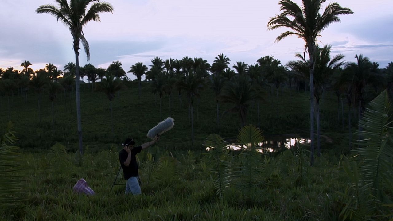 Passarinho Lá de Nova Iorque : Fotos
