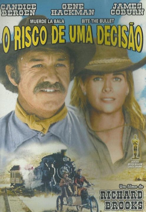 O Risco de uma Decisão : Poster