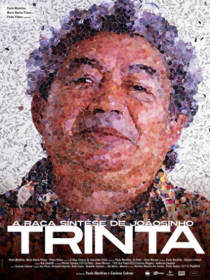 A Raça Síntese de Joãosinho Trinta : Poster