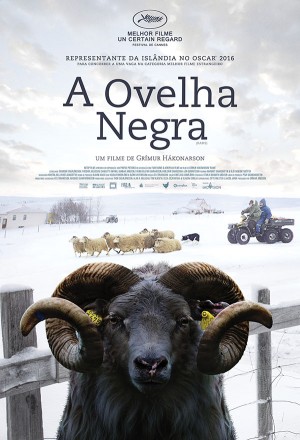 A Ovelha Negra : Poster