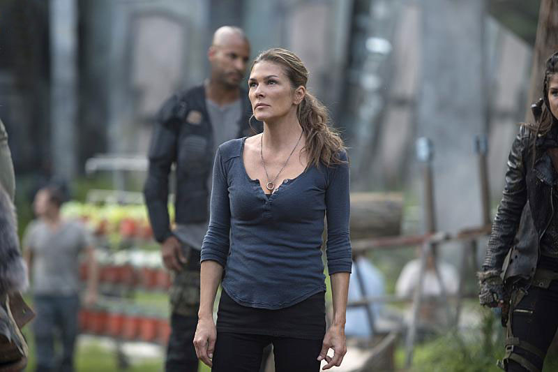 The 100 : Poster Paige Turco