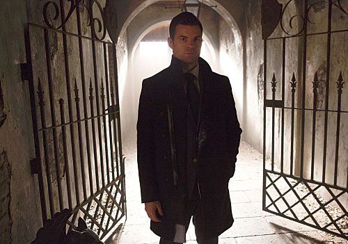 The Originals : Fotos Daniel Gillies