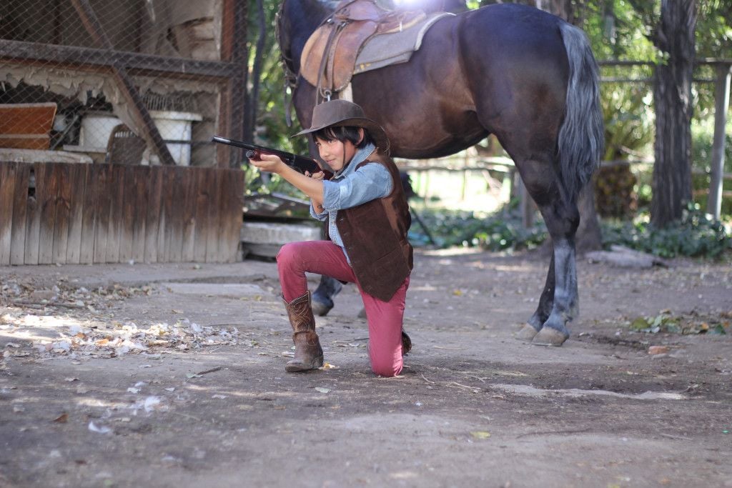 Um cavalo chamado elefante : Fotos