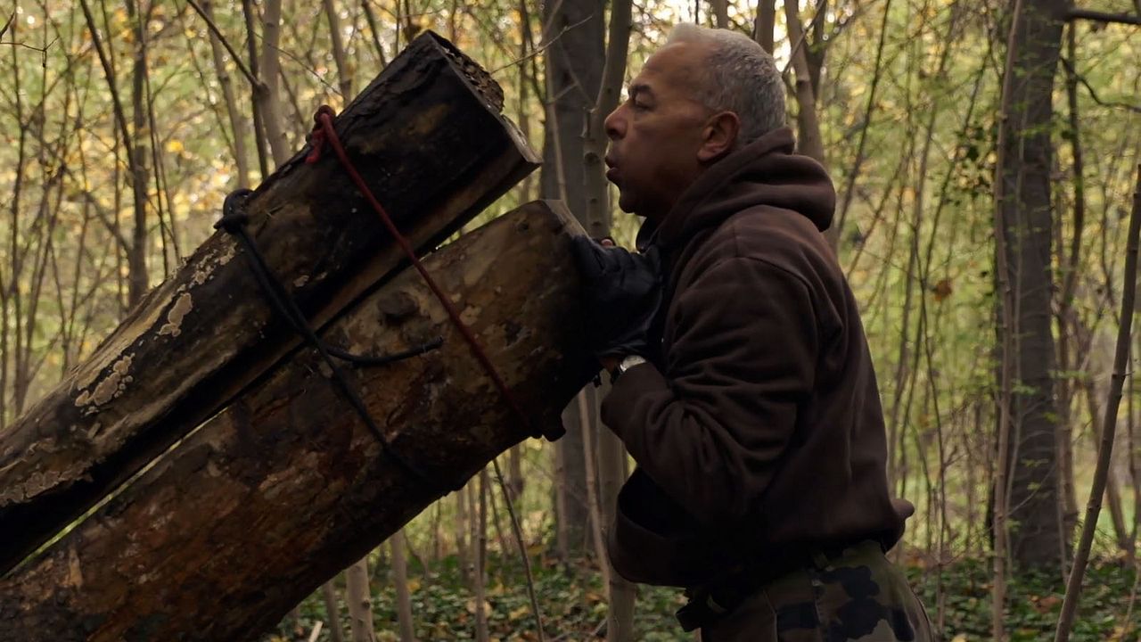 Le Bois dont les rêves sont faits : Fotos
