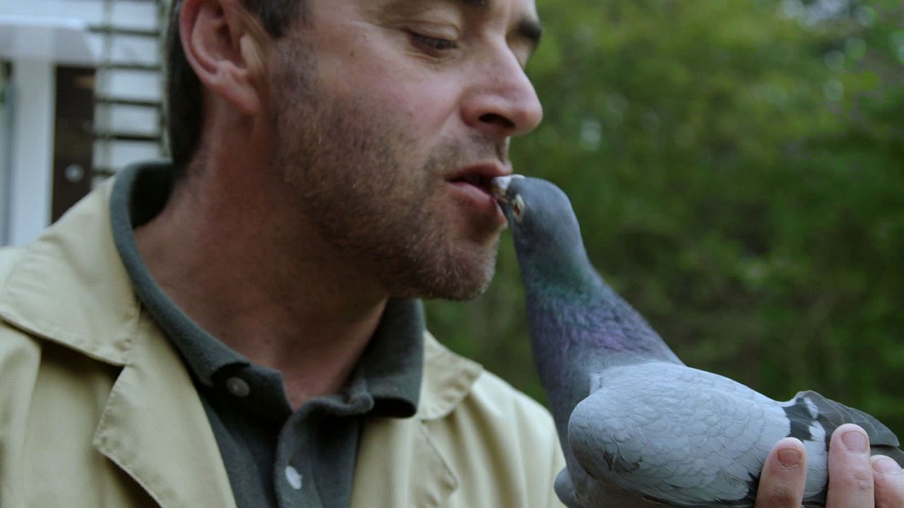 Le Bois dont les rêves sont faits : Fotos