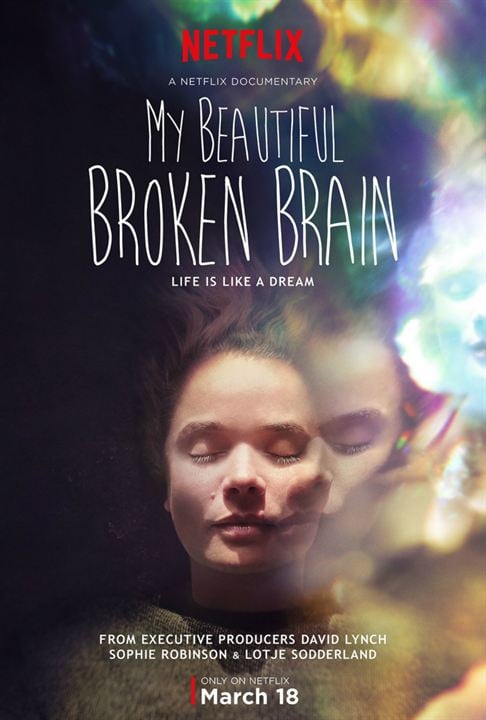 My Beautiful Broken Brain : Poster