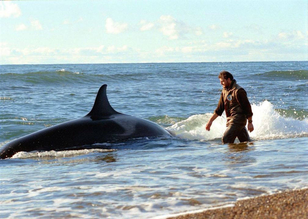 Farol das Orcas : Fotos