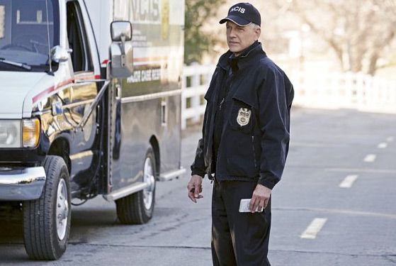 Fotos Mark Harmon