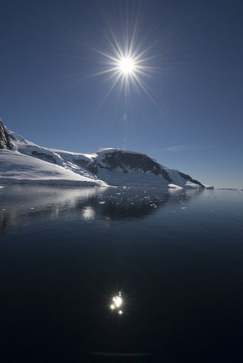 No Limite da Antártica : Fotos
