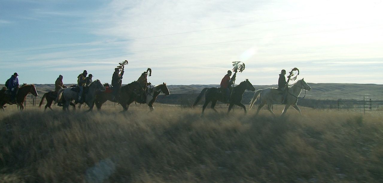 The Ride : Fotos