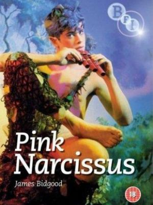 Pink Narcissus : Poster