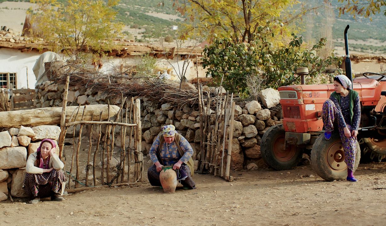 The Coop : Fotos