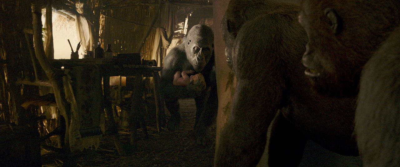 A Lenda de Tarzan : Fotos