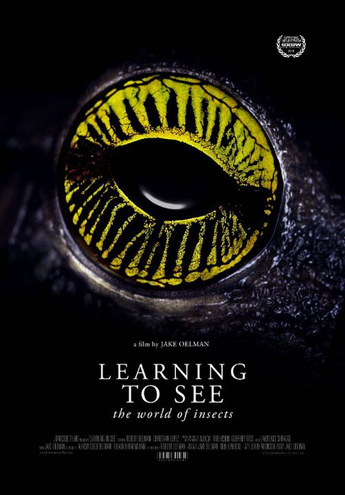Learning to See - The World of Insects : Poster