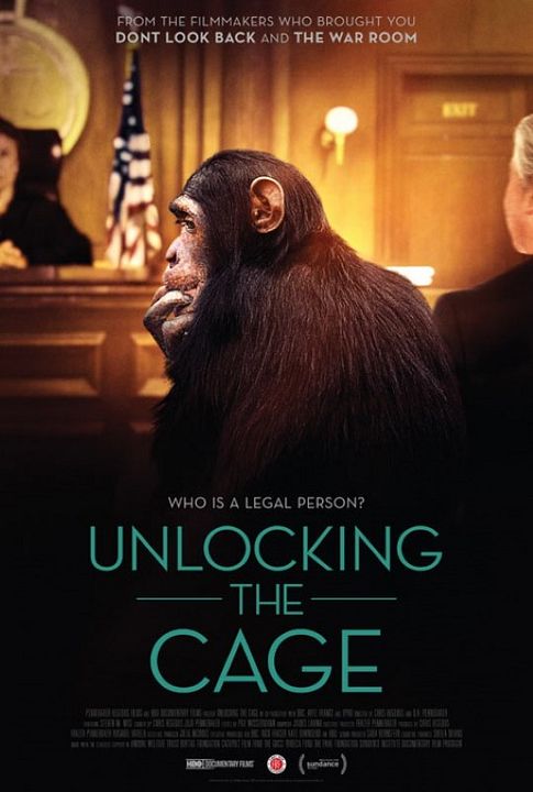 Unlocking the Cage : Poster