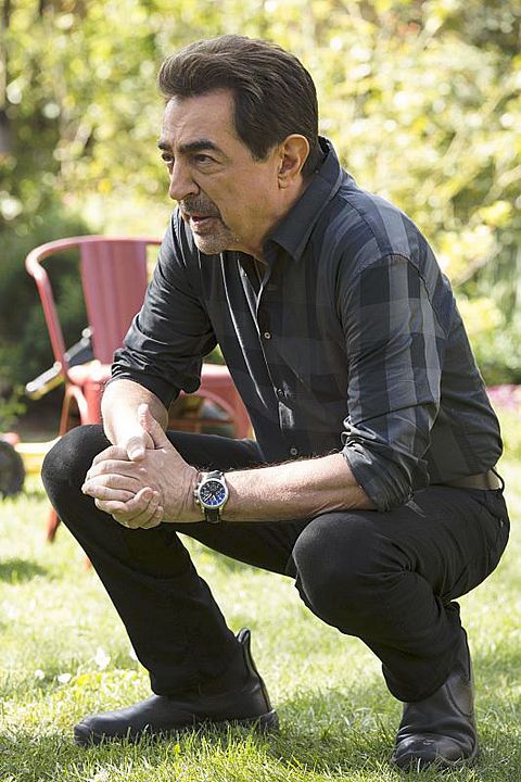Criminal Minds : Fotos Joe Mantegna