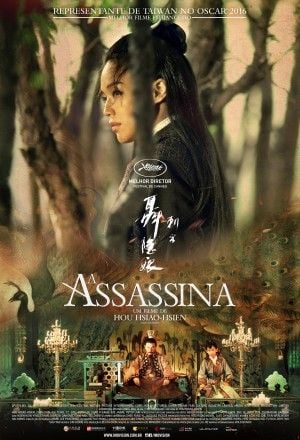 A Assassina : Poster