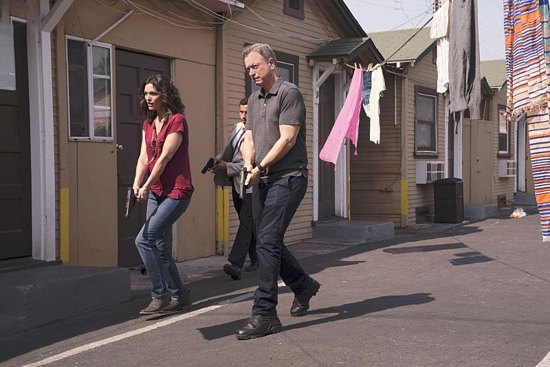 Criminal Minds: Beyond Borders : Fotos Gary Sinise, Alana De La Garza