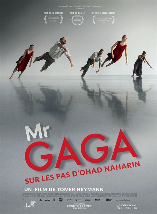 Gaga - O Amor Pela Dança : Poster