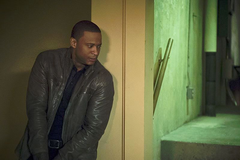 Arrow : Fotos David Ramsey