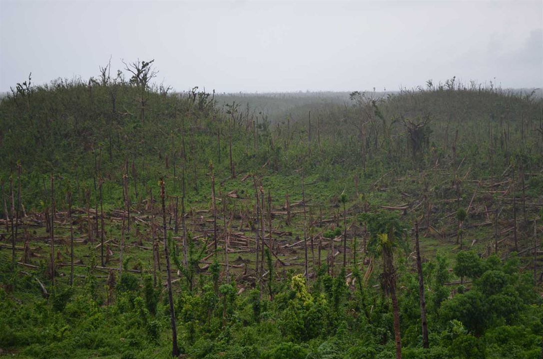 Ouragan : Fotos