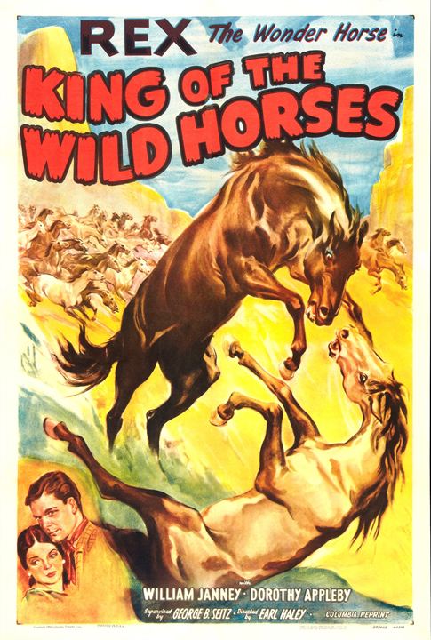 O Rei dos Cavalos Selvagens : Poster