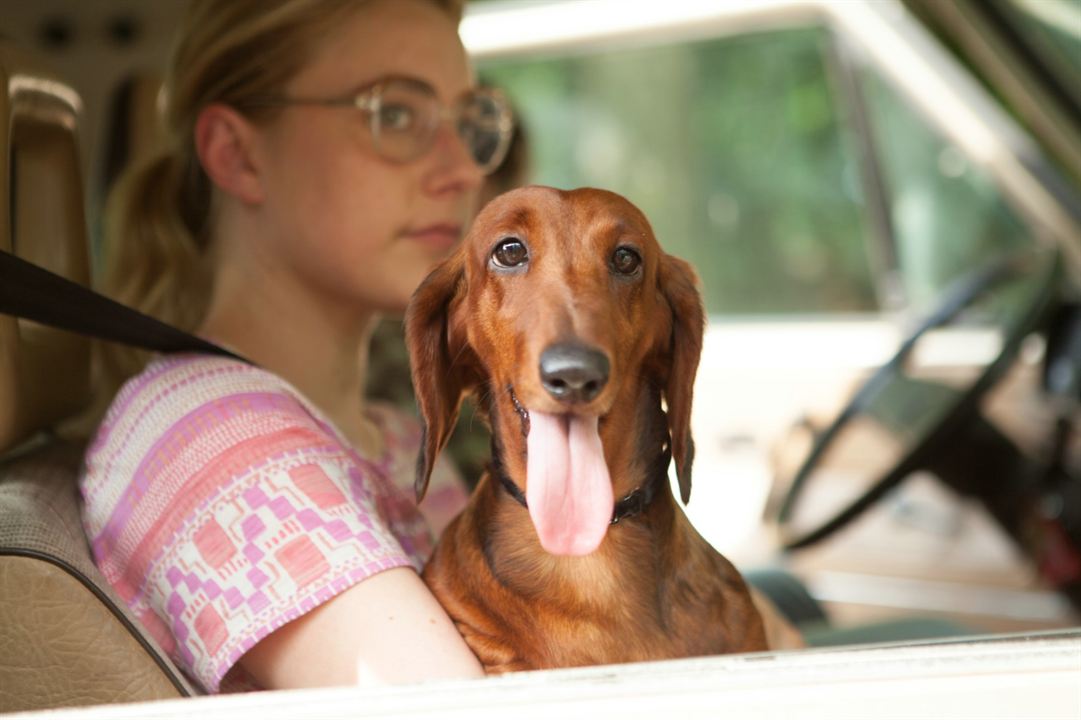 Wiener-Dog : Fotos Greta Gerwig