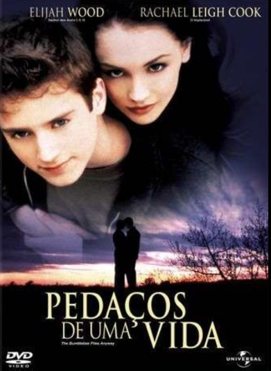 Pedaços de uma Vida : Poster